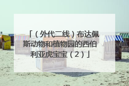 （外代二线）布达佩斯动物和植物园的西伯利亚虎宝宝（2）