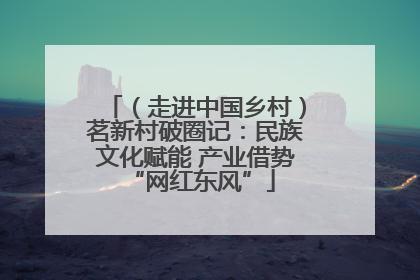 （走进中国乡村）茗新村破圈记：民族文化赋能 产业借势 “网红东风”