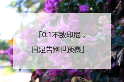 0:1不敌印尼，国足告别世预赛