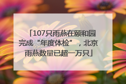 107只雨燕在颐和园完成“年度体检”，北京雨燕数量已超一万只