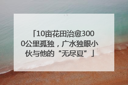 10亩花田治愈3000公里孤独，广水独眼小伙与他的“无尽夏”