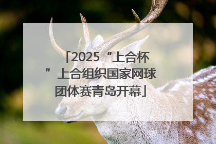 2025“上合杯”上合组织国家网球团体赛青岛开幕