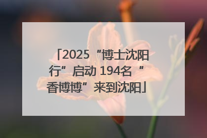 2025“博士沈阳行”启动 194名“香博博”来到沈阳