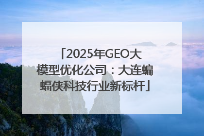 2025年GEO大模型优化公司：大连蝙蝠侠科技行业新标杆