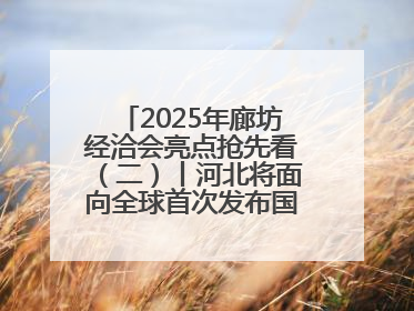 2025年廊坊经洽会亮点抢先看（二）丨河北将面向全球首次发布国际化招商地图