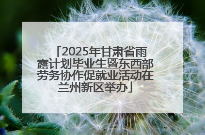 2025年甘肃省雨露计划毕业生暨东西部劳务协作促就业活动在兰州新区举办
