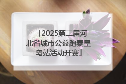 2025第二届河北省城市公益跑秦皇岛站活动开赛