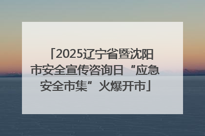 2025辽宁省暨沈阳市安全宣传咨询日“应急安全市集”火爆开市