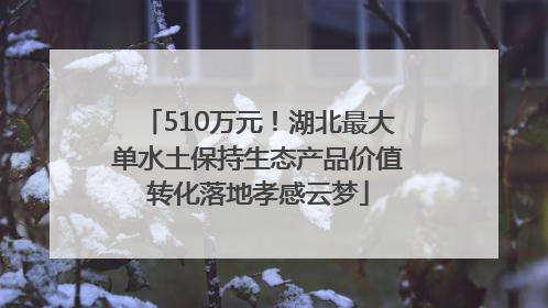 510万元！湖北最大单水土保持生态产品价值转化落地孝感云梦