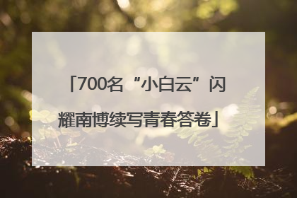 700名“小白云”闪耀南博续写青春答卷