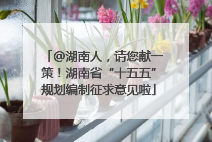 @湖南人，请您献一策！湖南省“十五五”规划编制征求意见啦