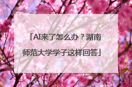 AI来了怎么办？湖南师范大学学子这样回答