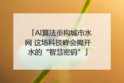 AI算法重构城市水网 这场科技峰会揭开水的“智慧密码”