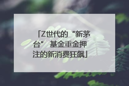 Z世代的“新茅台” 基金重金押注的新消费狂飙